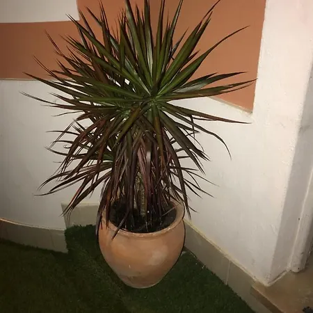 Sun Place Pensión Lagos