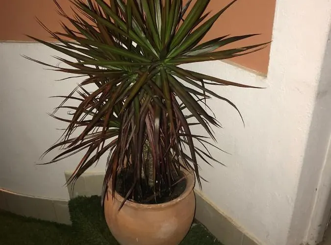 Sun Place Gasthof Lagos